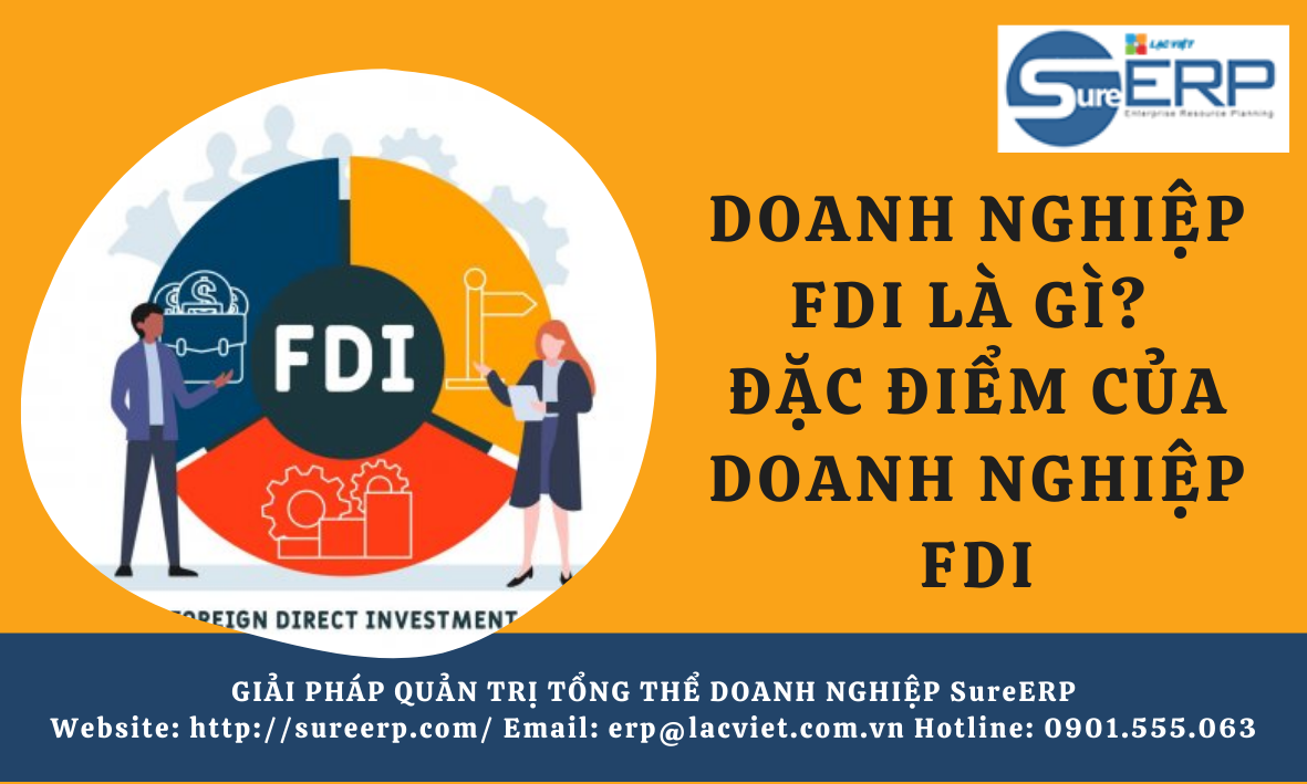 DOANH NGHIỆP FDI LÀ GÌ ĐẶC ĐIỂM CỦA DOANH NGHIỆP FDI.png