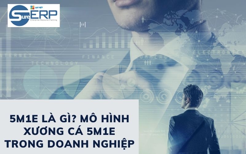 5M1E là gì? Mô hình xương cá 5M1E trong doanh nghiệp